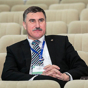 Академик РАН Игорь Анатольевич Каляев ( PereslavlFoto / Wikimedia Commons )